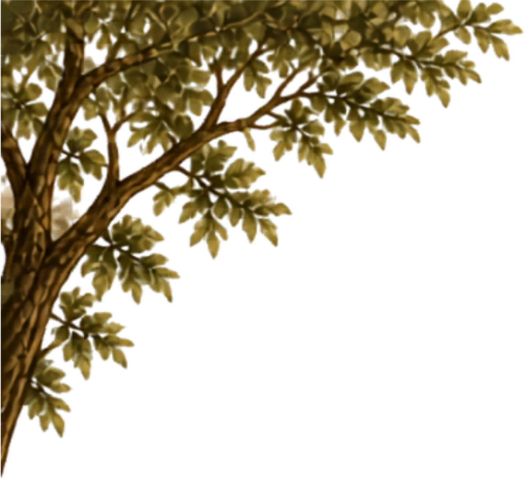 Ornamen Ranting