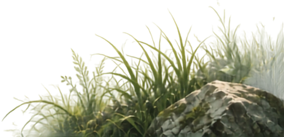 Batu Rumput Kanan