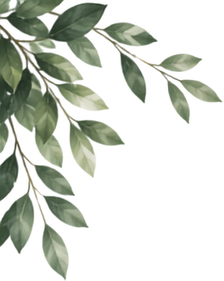 Ranting Daun Kiri